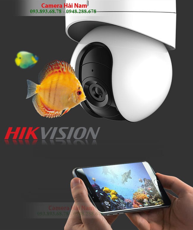 camera hikvision wifi q21 10